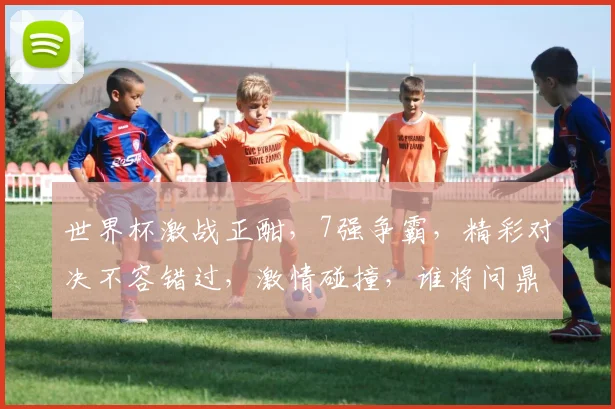 世界杯激战正酣，7强争霸，精彩对决不容错过，激情碰撞，谁将问鼎