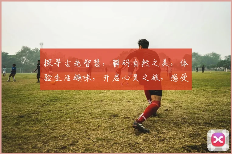 探寻古老智慧，解码自然之美，体验生活趣味，开启心灵之旅，感受文化魅力。