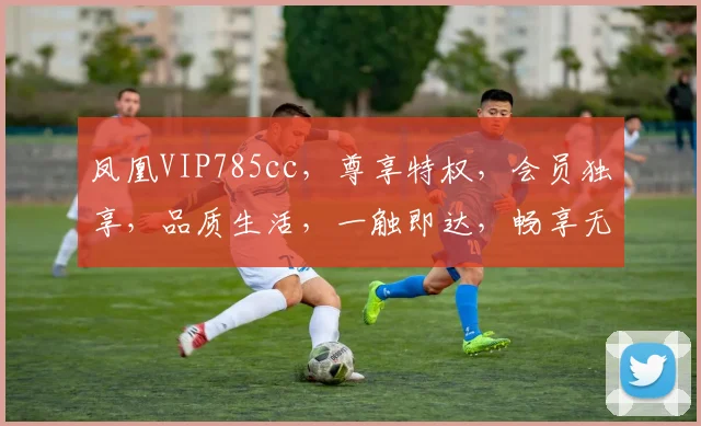 凤凰VIP785cc，尊享特权，会员独享，品质生活，一触即达，畅享无忧