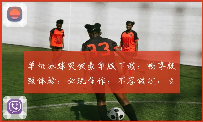 单机冰球突破豪华版下载，畅享极致体验，必玩佳作，不容错过，立即下载
