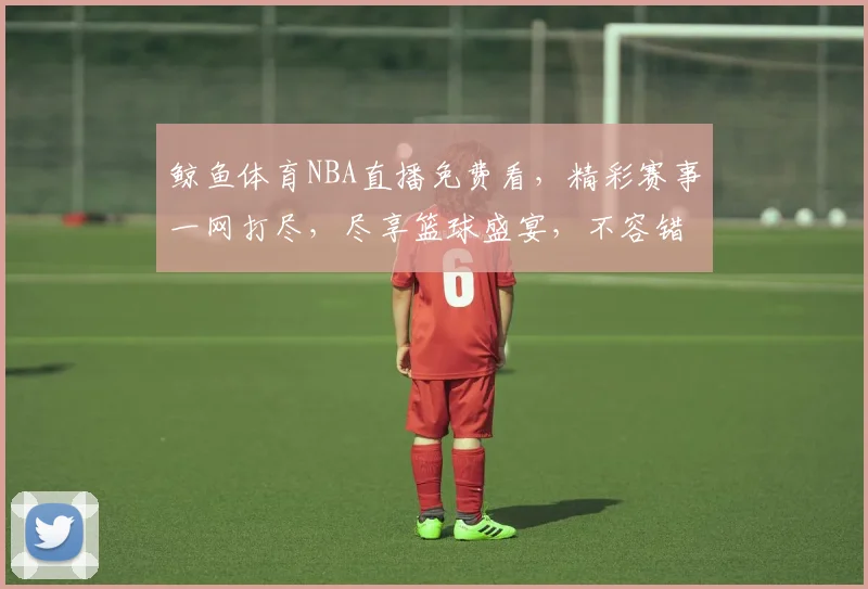 鲸鱼体育NBA直播免费看，精彩赛事一网打尽，尽享篮球盛宴，不容错过